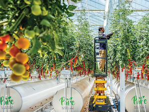 Pure Harvest smart farms thrive with ABB Ability Energy Manager