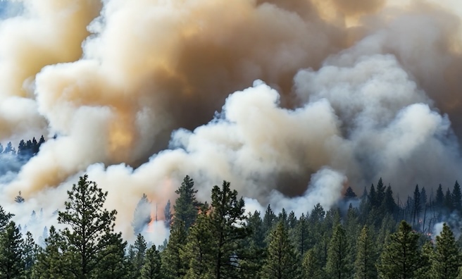 Key factors in ensuring reliable and resilient power delivery | Wildfire mitigation